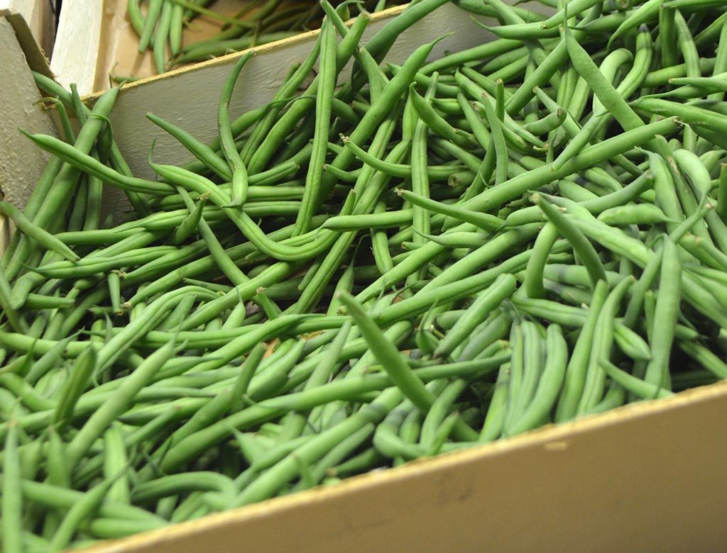 haricots verts